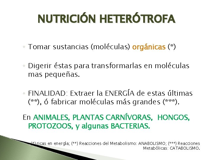 NUTRICIÓN HETERÓTROFA ◦ Tomar sustancias (moléculas) orgánicas (*) ◦ Digerir éstas para transformarlas en
