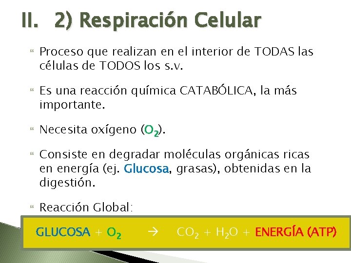 II. 2) Respiración Celular Proceso que realizan en el interior de TODAS las células