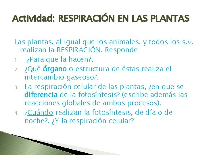 Actividad: RESPIRACIÓN EN LAS PLANTAS Las plantas, al igual que los animales, y todos