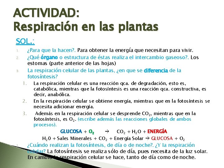 ACTIVIDAD: Respiración en las plantas SOL. : 1. 2. 3. 1. ¿Para que la