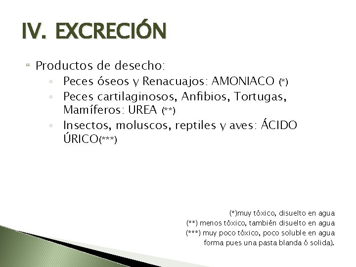 IV. EXCRECIÓN Productos de desecho: ◦ Peces óseos y Renacuajos: AMONIACO (*) ◦ Peces