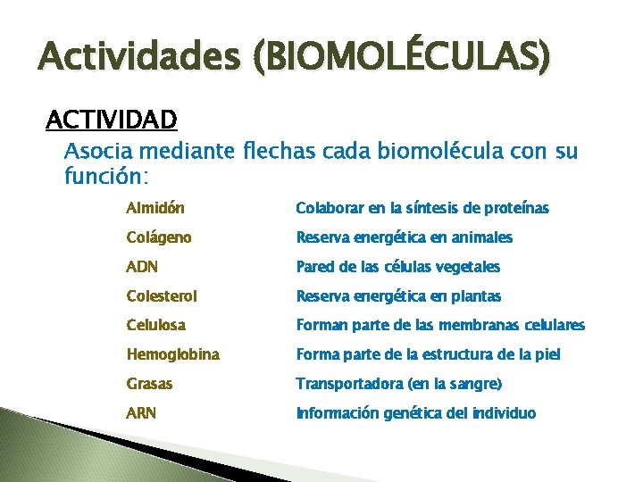 Actividades (BIOMOLÉCULAS) ACTIVIDAD Asocia mediante flechas cada biomolécula con su función: Almidón Colaborar en