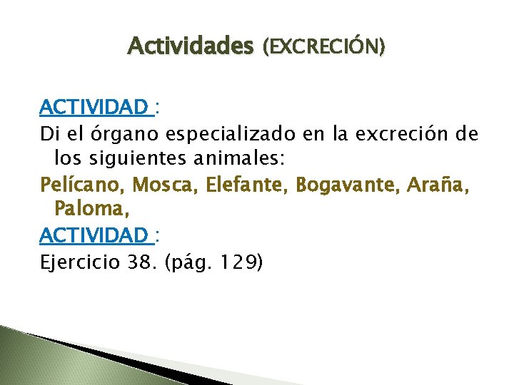 Actividades (EXCRECIÓN) ACTIVIDAD : Di el órgano especializado en la excreción de los siguientes