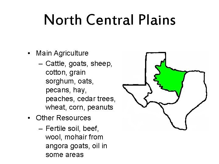 North Central Plains • Main Agriculture – Cattle, goats, sheep, cotton, grain sorghum, oats,