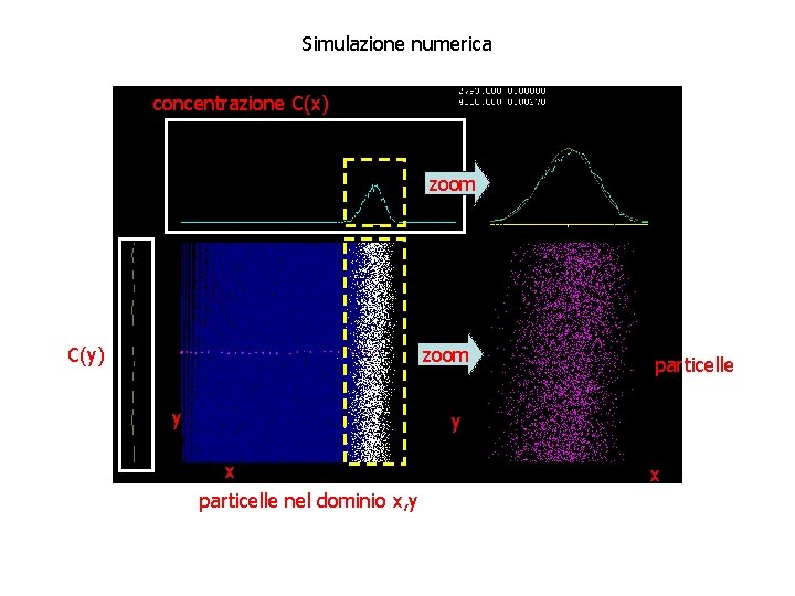 Simulazione numerica concentrazione C(x) zoom C(y) zoom y particelle y x particelle nel dominio