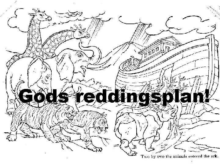 Gods reddingsplan! 