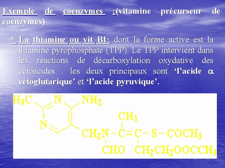 Exemple de coenzymes : (vitamine précurseur de coenzymes) * La thiamine ou vit B