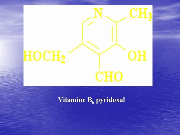 Vitamine B 6 pyridoxal 