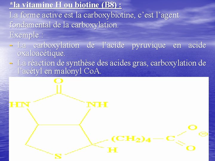 *la vitamine H ou biotine (B 8) : La forme active est la carboxybiotine,