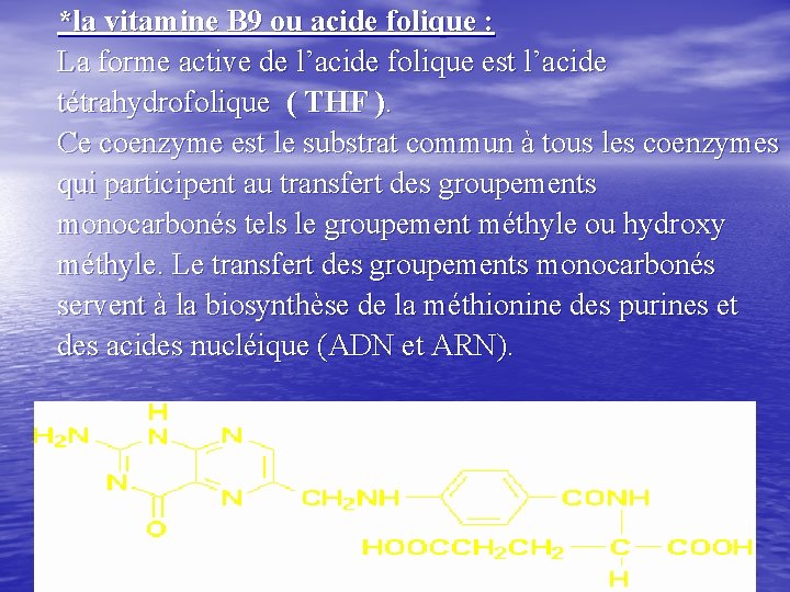 *la vitamine B 9 ou acide folique : La forme active de l’acide folique