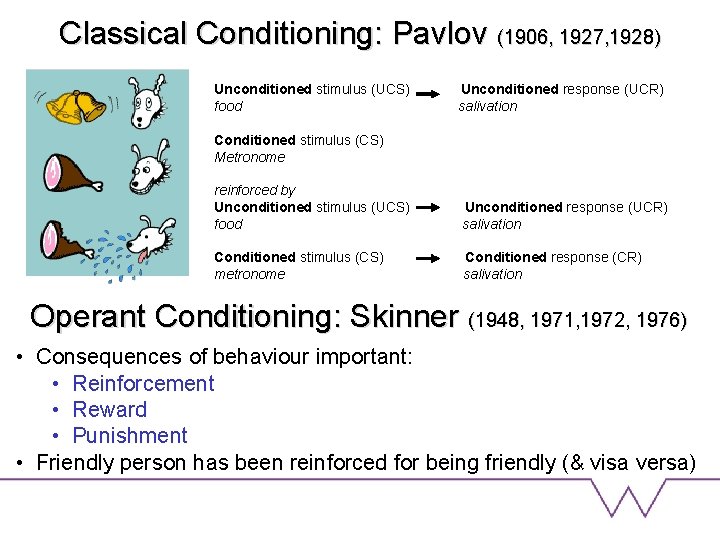 Classical Conditioning: Pavlov (1906, 1927, 1928) Unconditioned stimulus (UCS) food Unconditioned response (UCR) salivation