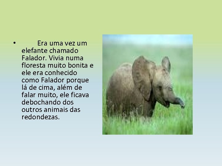  • Era uma vez um elefante chamado Falador. Vivia numa floresta muito bonita