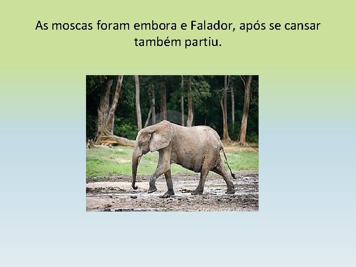  As moscas foram embora e Falador, após se cansar também partiu. 