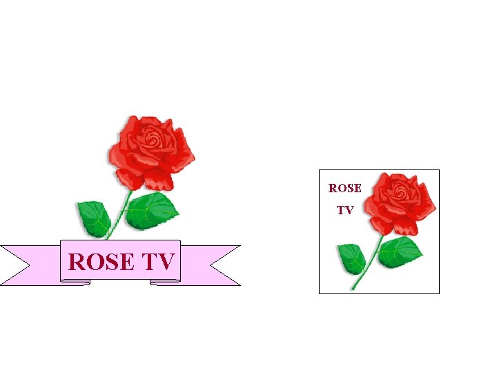 ROSE TV 