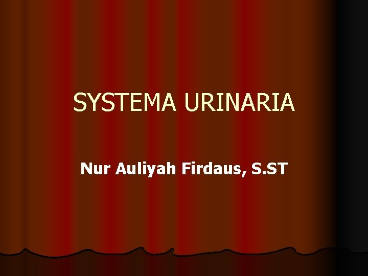 SYSTEMA URINARIA Nur Auliyah Firdaus, S. ST SYSTEMA URINARIA Nur Auliyah Firdaus, S. ST