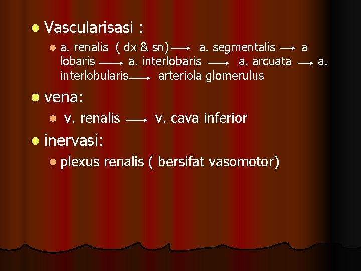 l Vascularisasi l : a. renalis ( dx & sn) a. segmentalis a lobaris