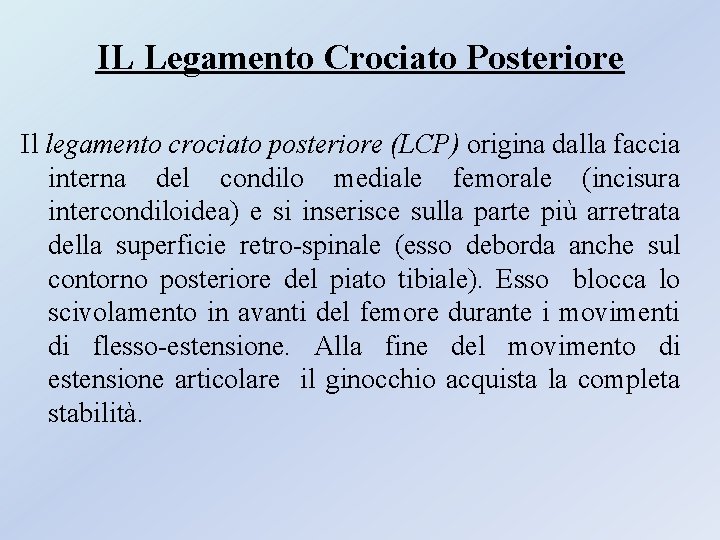 IL Legamento Crociato Posteriore Il legamento crociato posteriore (LCP) origina dalla faccia interna del IL Legamento Crociato Posteriore Il legamento crociato posteriore (LCP) origina dalla faccia interna del