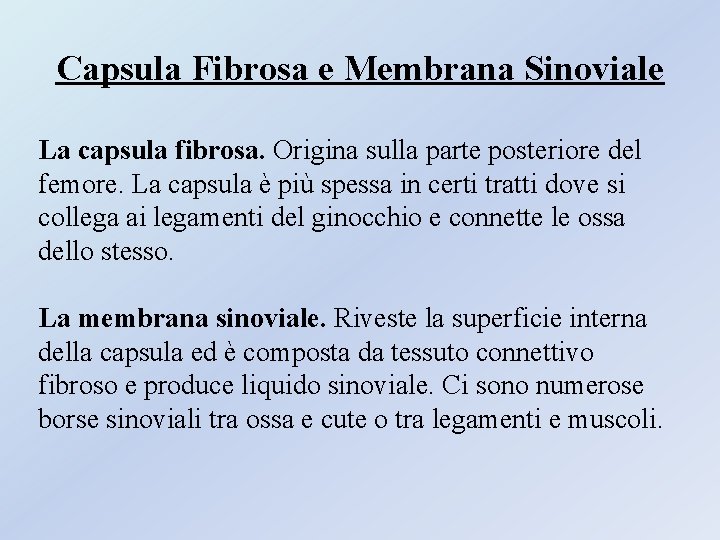 Capsula Fibrosa e Membrana Sinoviale La capsula fibrosa. Origina sulla parte posteriore del femore. Capsula Fibrosa e Membrana Sinoviale La capsula fibrosa. Origina sulla parte posteriore del femore.