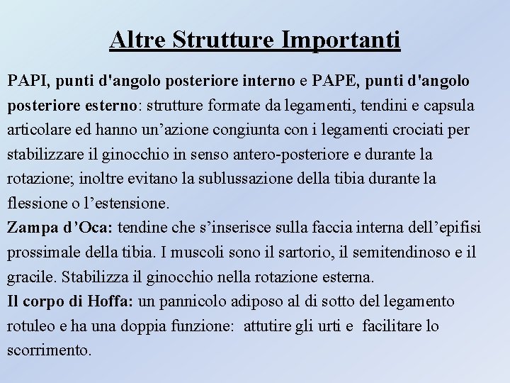 Altre Strutture Importanti PAPI, punti d'angolo posteriore interno e PAPE, punti d'angolo posteriore esterno: Altre Strutture Importanti PAPI, punti d'angolo posteriore interno e PAPE, punti d'angolo posteriore esterno: