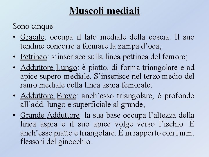 Muscoli mediali Sono cinque: • Gracile: occupa il lato mediale della coscia. Il suo Muscoli mediali Sono cinque: • Gracile: occupa il lato mediale della coscia. Il suo