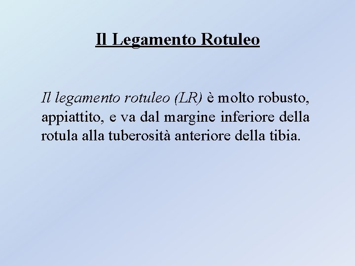Il Legamento Rotuleo Il legamento rotuleo (LR) è molto robusto, appiattito, e va dal Il Legamento Rotuleo Il legamento rotuleo (LR) è molto robusto, appiattito, e va dal