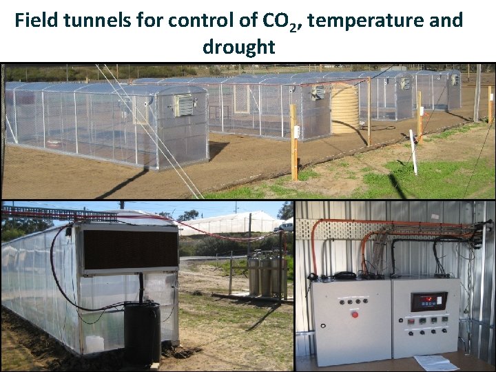 Field tunnels for control of CO 2, temperature and drought 