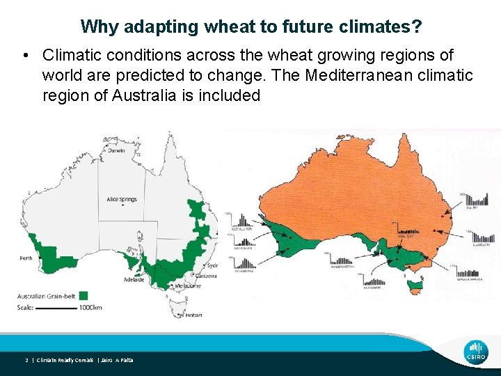 Why adapting wheat to future climates? • Climatic conditions across the wheat growing regions
