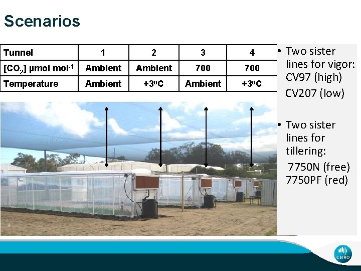 Scenarios Tunnel 1 2 3 4 [CO 2] µmol mol-1 Ambient 700 Temperature Ambient