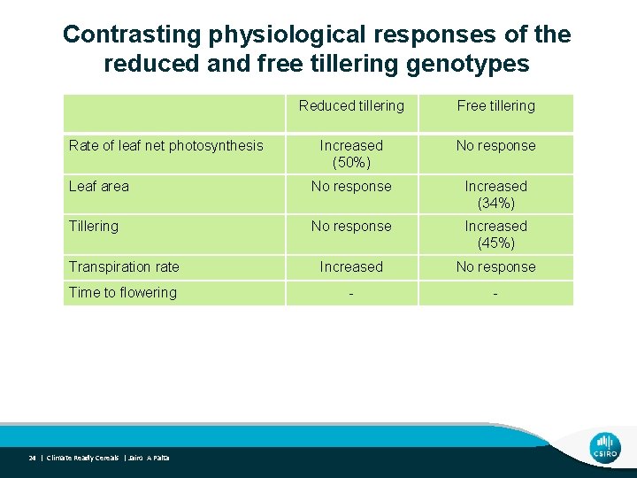 Contrasting physiological responses of the reduced and free tillering genotypes Reduced tillering Free tillering