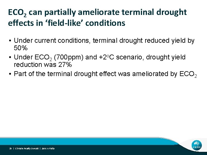 ECO 2 can partially ameliorate terminal drought effects in ‘field-like’ conditions • Under current