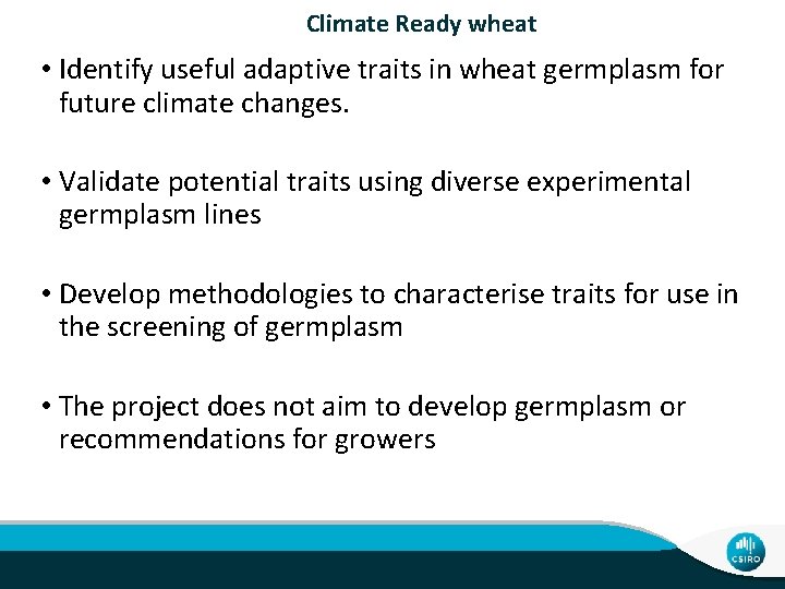 Climate Ready wheat • Identify useful adaptive traits in wheat germplasm for future climate