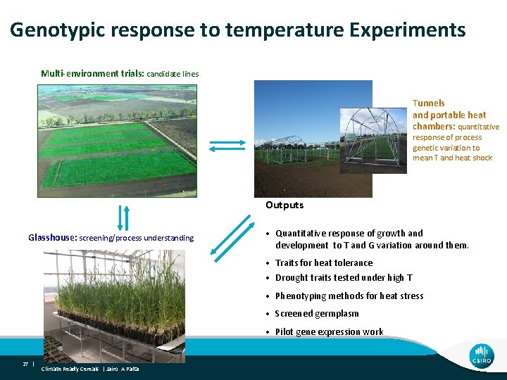 Genotypic response to temperature Experiments Multi-environment trials: candidate lines Tunnels and portable heat chambers: