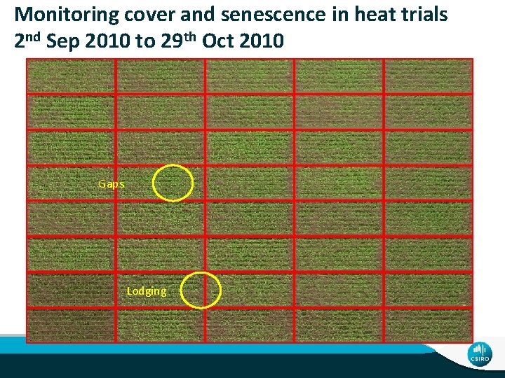 Monitoring cover and senescence in heat trials 2 nd Sep 2010 to 29 th