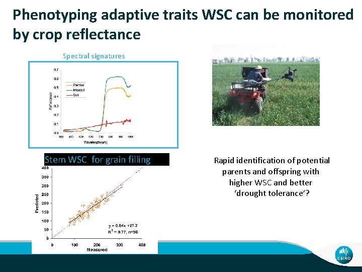Phenotyping adaptive traits WSC can be monitored by crop reflectance Spectral signatures Stem WSC