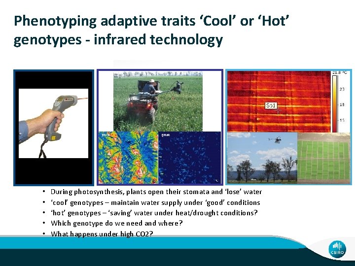 Phenotyping adaptive traits ‘Cool’ or ‘Hot’ genotypes - infrared technology • • • During