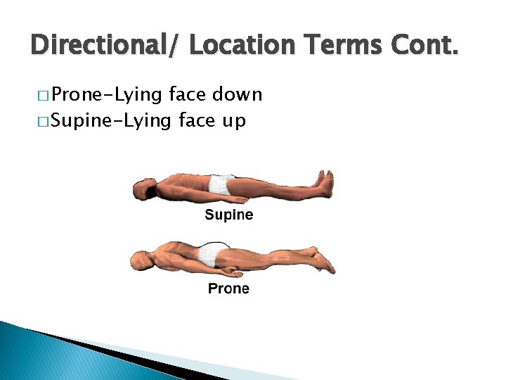 Directional/ Location Terms Cont. � Prone-Lying face down � Supine-Lying face up 