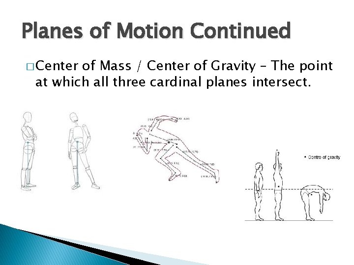 Planes of Motion Continued � Center of Mass / Center of Gravity – The