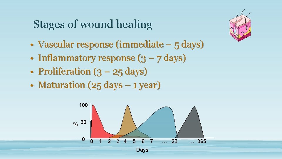 Stages of wound healing • • Vascular response (immediate – 5 days) Inflammatory response