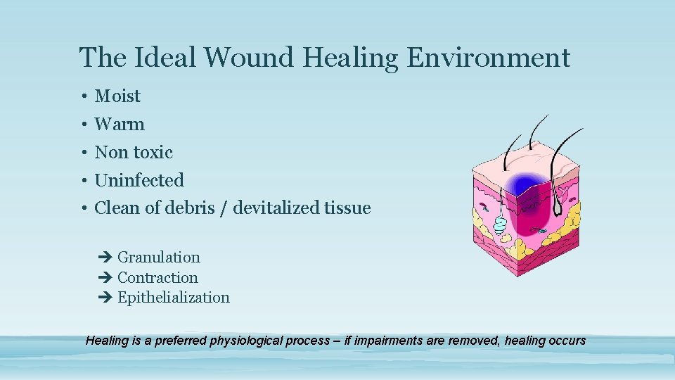 The Ideal Wound Healing Environment • Moist • Warm • Non toxic • Uninfected