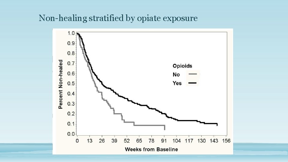 Non-healing stratified by opiate exposure 
