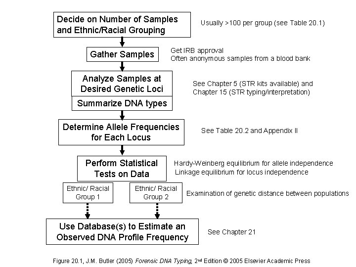 Decide on Number of Samples and Ethnic/Racial Grouping Gather Samples Usually >100 per group