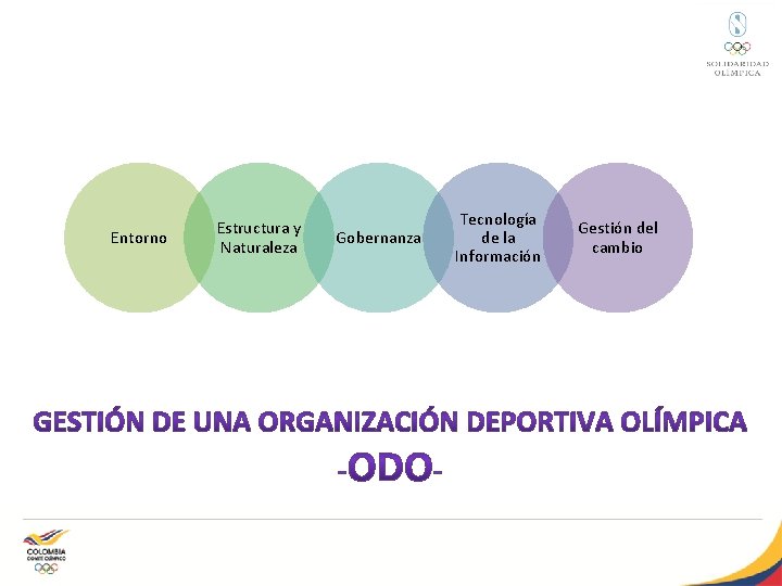 Entorno Estructura y Naturaleza Gobernanza Tecnología de la Información Gestión del cambio 