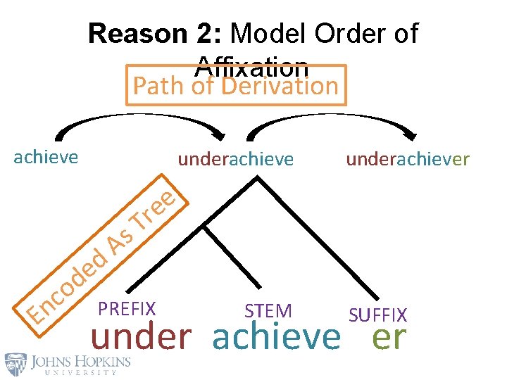 Reason 2: Model Order of Affixation Path of Derivation achieve underachieve c n E