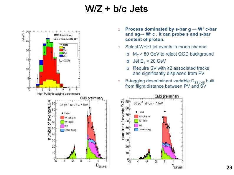 W/Z + b/c Jets 23 