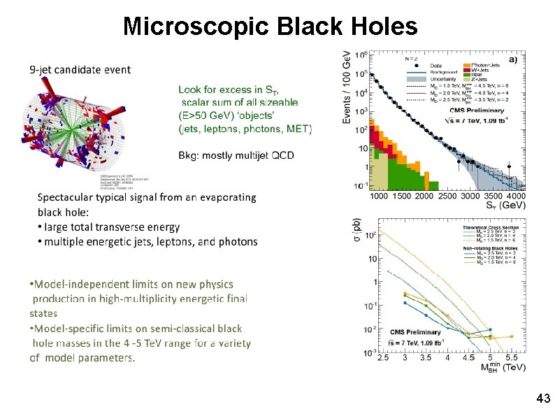 Microscopic Black Holes 43 