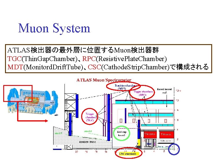 Muon System ATLAS検出器の最外層に位置するMuon検出器群 TGC(Thin. Gap. Chamber)、RPC(Resistive. Plate. Chamber) MDT(Monitord. Drift. Tube)、CSC(Cathode. Strip. Chamber)で構成される 