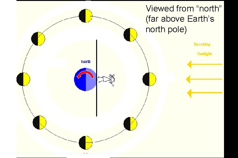 Viewed from “north” (far above Earth’s north pole) 