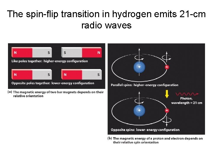 The spin-flip transition in hydrogen emits 21 -cm radio waves 