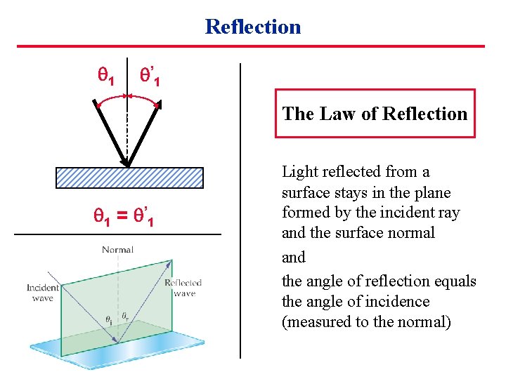 Reflection 1 ’ 1 The Law of Reflection 1 = ’ 1 Light reflected
