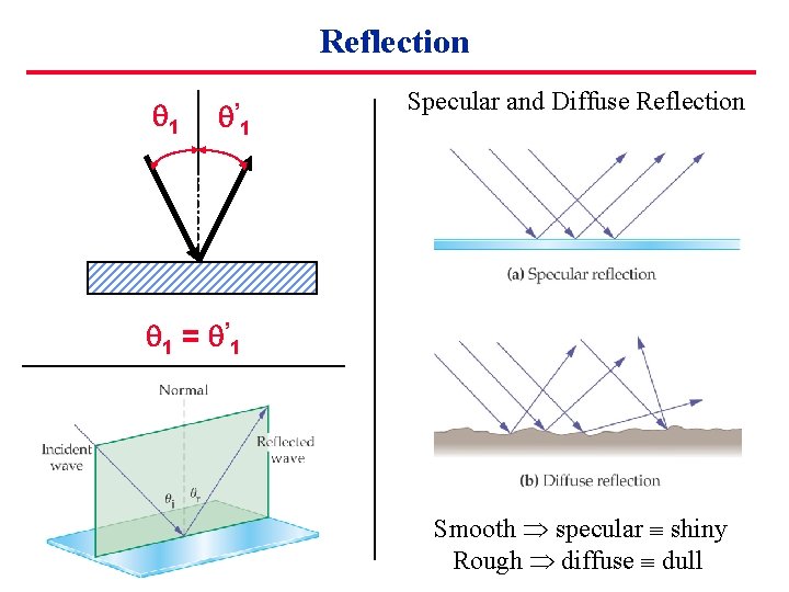 Reflection 1 ’ 1 Specular and Diffuse Reflection 1 = ’ 1 Smooth specular